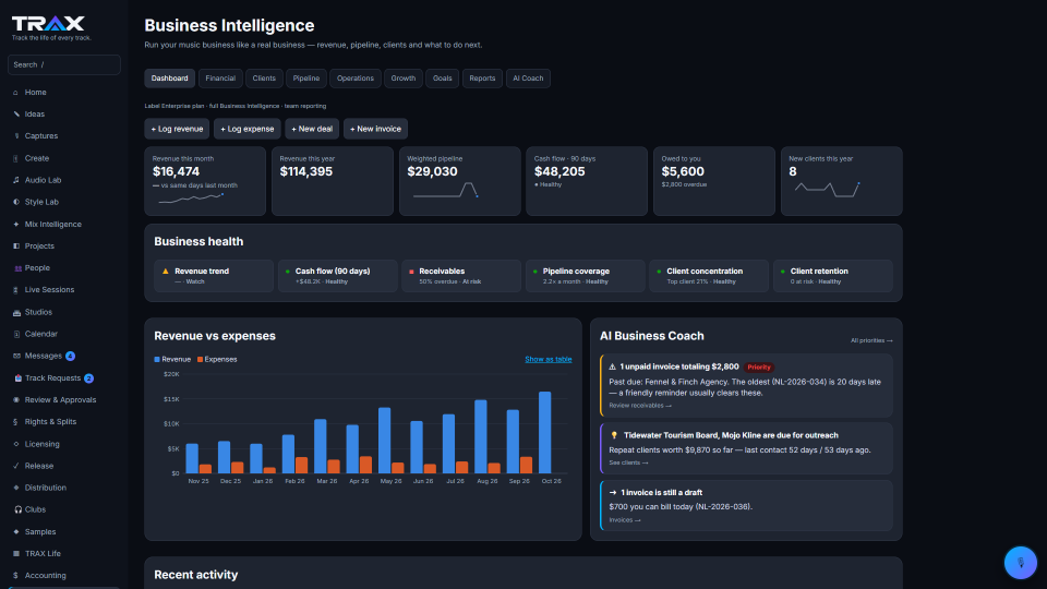 Business Intelligence dashboard screenshot (demo account with fictional data)